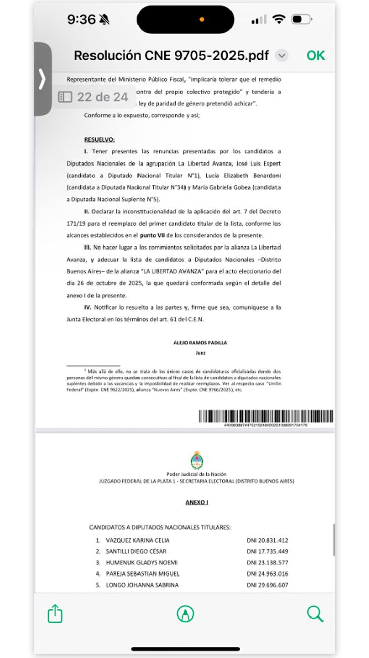 Resolucion Judicial 08102025
