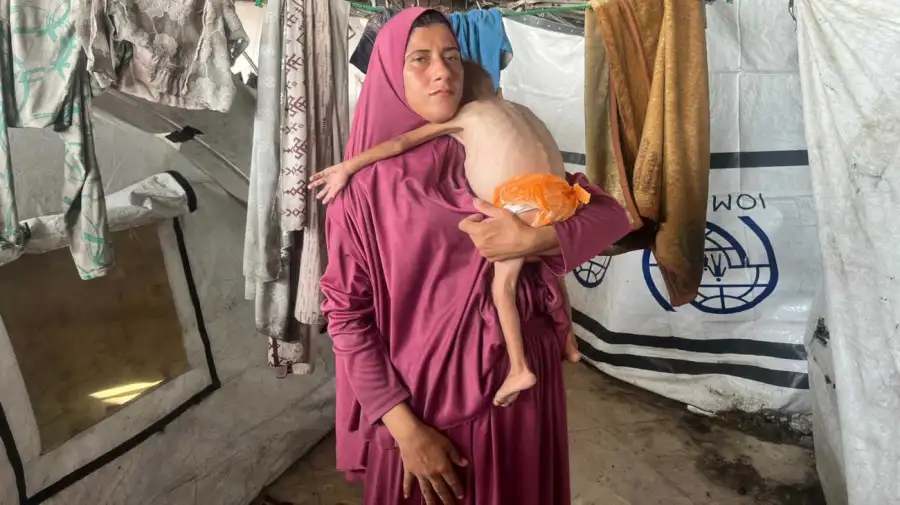 Alto el fuego en Gaza 20251009