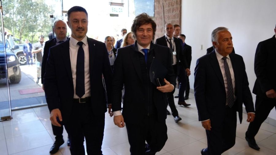 Javier Milei y Luis Petri