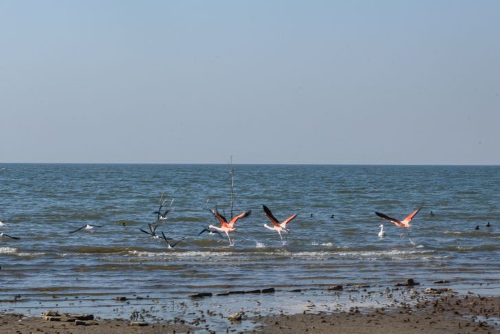 Playa Laguna Mar Chiquita