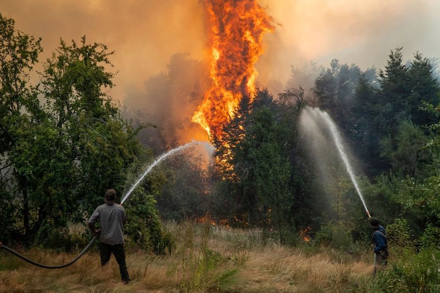 Incendios patagonicos 2025 2026