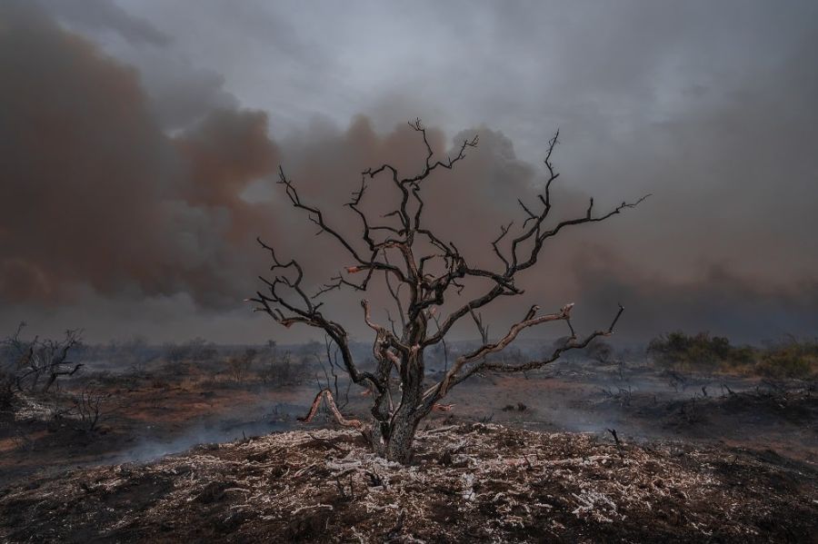 Incendios patagonicos 2025 2026