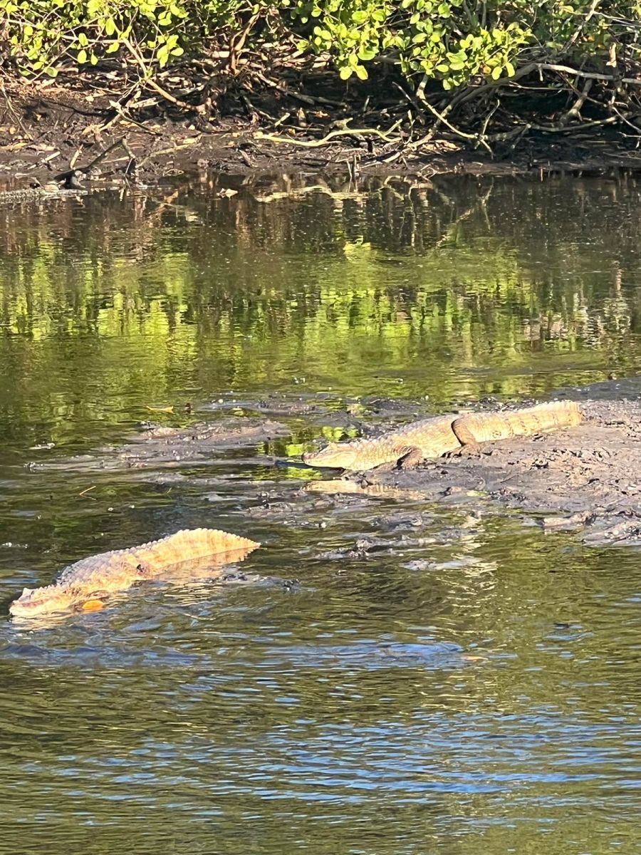 Rio de Janeiro BArra de Tijuca
