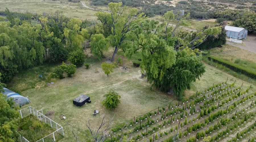 BODEGA AYESTARÁN ALLARD
