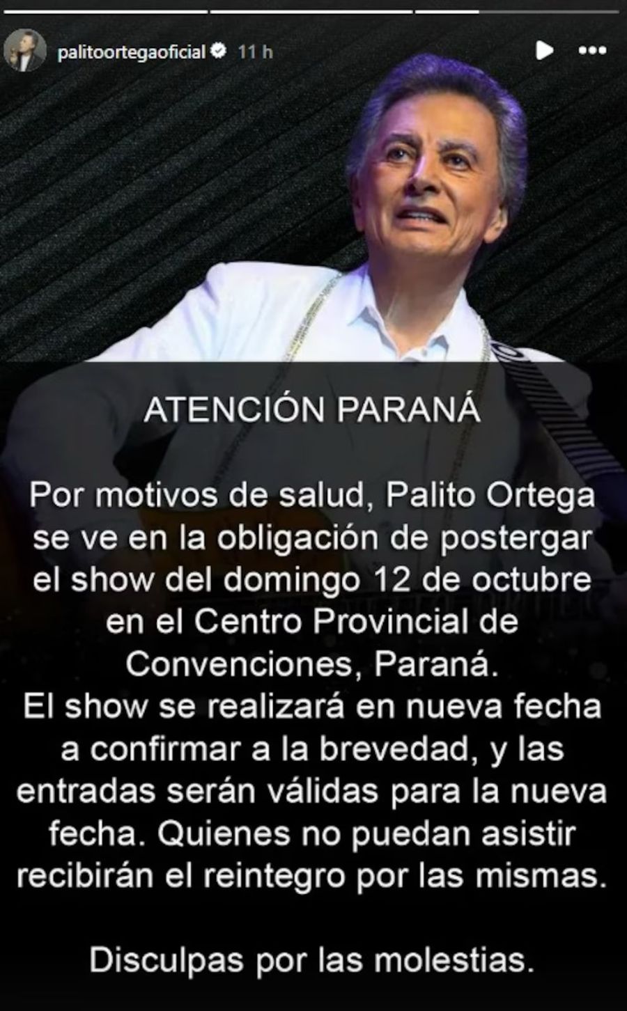 Julieta Ortega, Palito Ortega