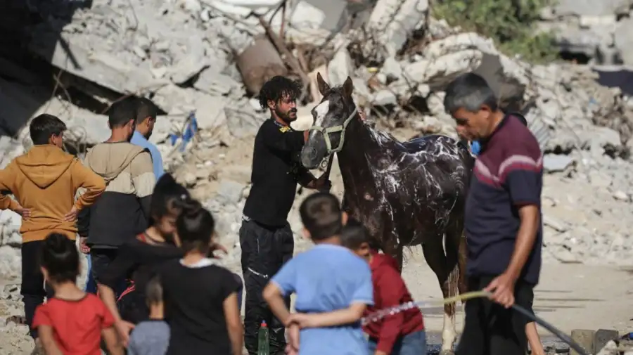 Un hombre palestino baña a un caballo en medio de edificios destruidos en Gaza
