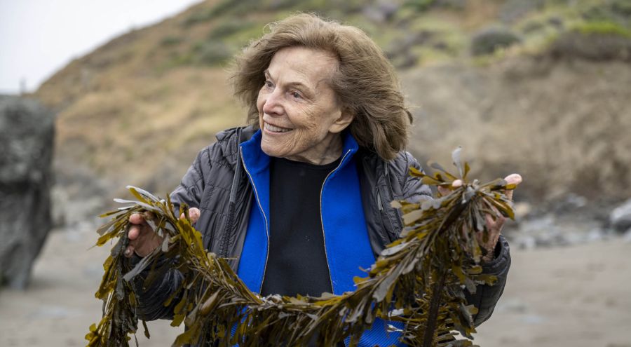 Sylvia Earle