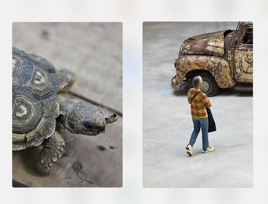  Agenda cultural del Del 16 al 22 de octubre 16102025