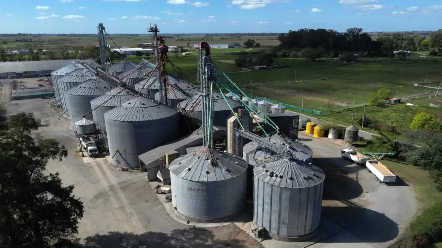 ARGENTINA ECONOMÍA AGRICULTURA San Andrés de Giles 20251016