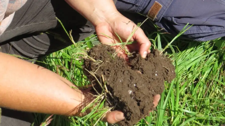 Las aptitudes claves que los pequeños productores