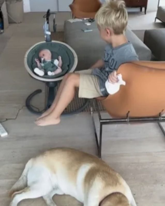 Marley, Mirko y Milenka