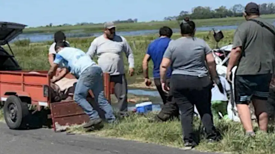 Chacabuco un camión que transportaba cerdos volcó 20251021