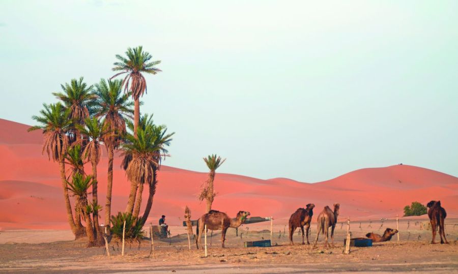 1022_contenidonoviembre