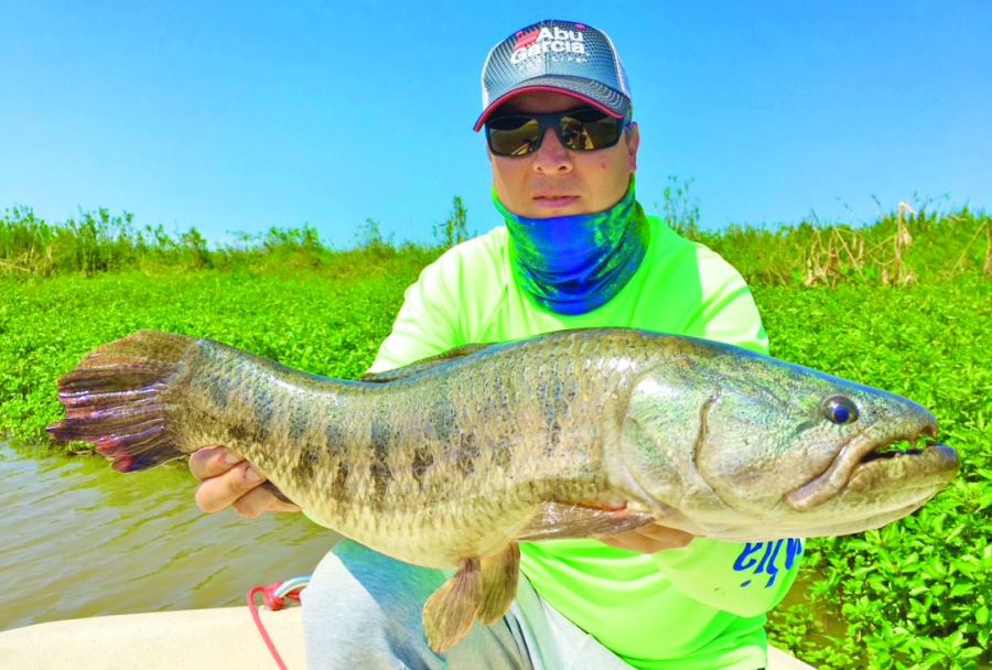 1022_contenidonoviembre