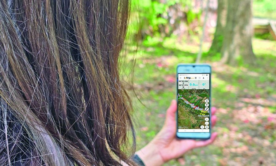 1022_contenidonoviembre