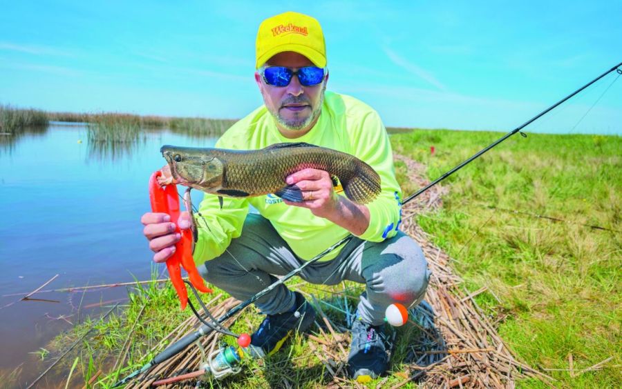 1022_contenidonoviembre