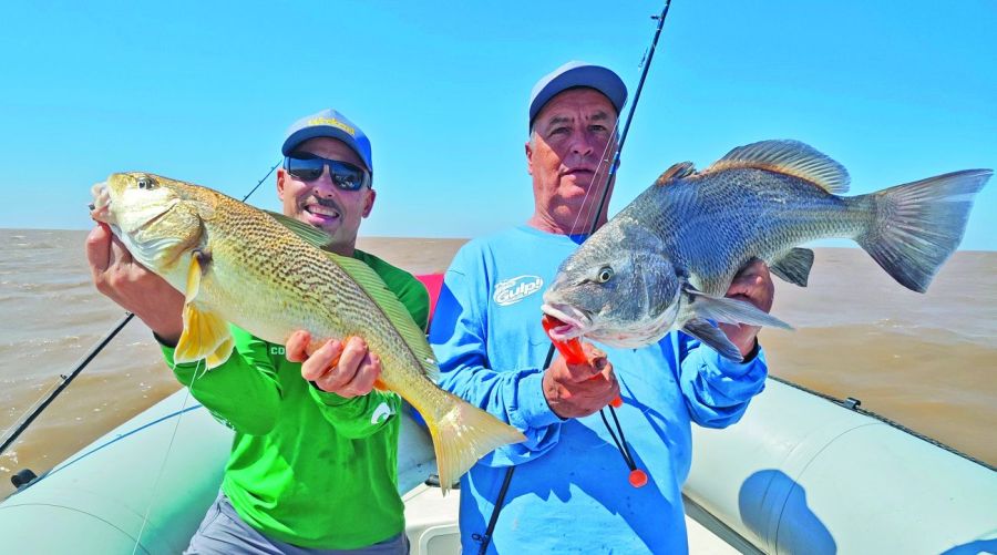 1022_contenidonoviembre