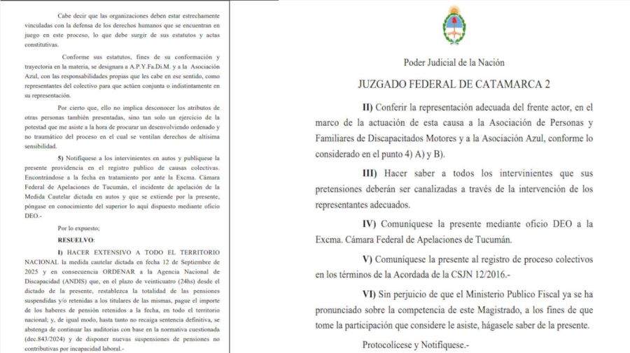 ANDIS restableció las pensiones suspendidas por orden judicial 20251023