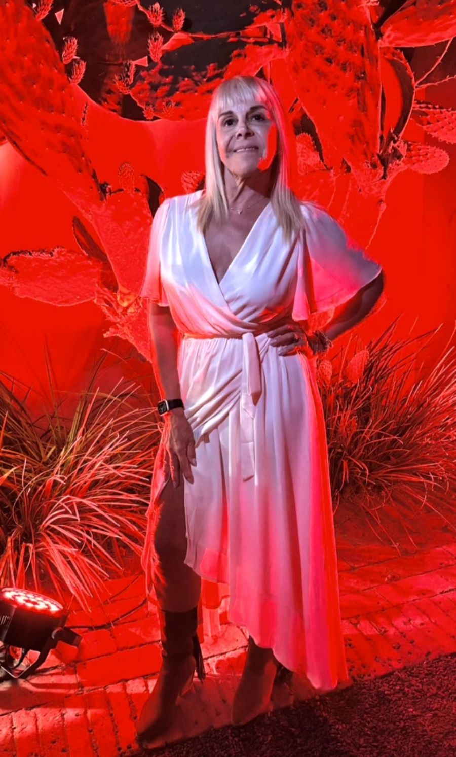 Claudia Villafañe en Salta