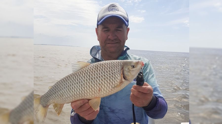 2410_mapa_pique_pesca