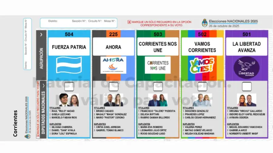Elecciones 2025: Boleta Única de Papel para cargos de diputados