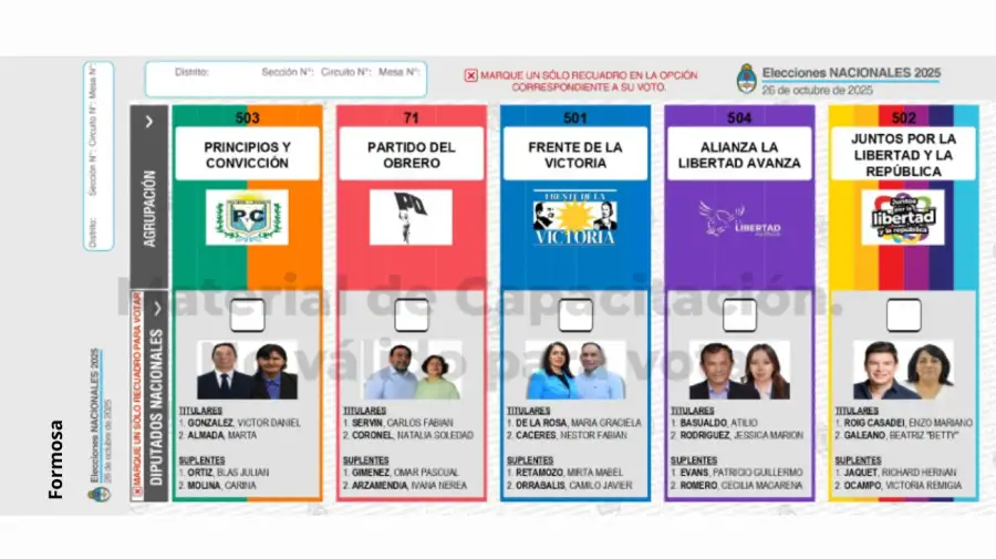 Elecciones 2025: Boleta Única de Papel para cargos de diputados