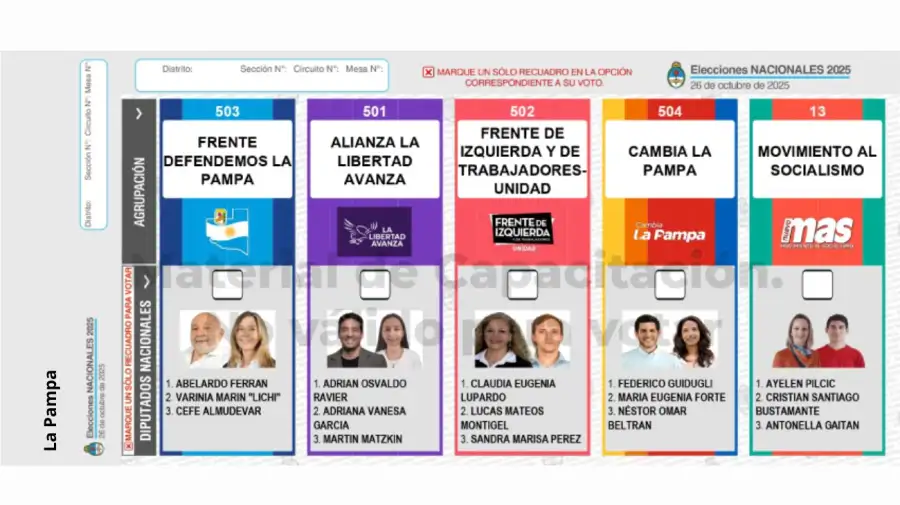 Elecciones 2025: Boleta Única de Papel para cargos de diputados