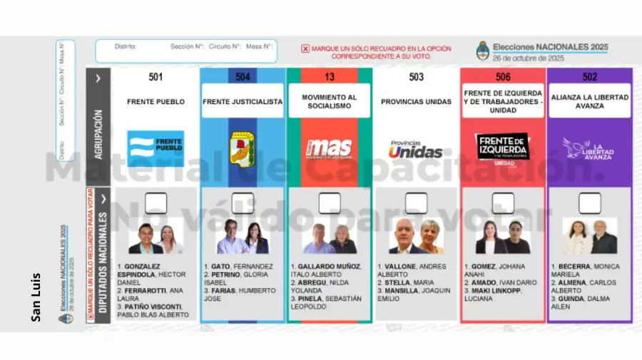 Elecciones 2025: Boleta Única de Papel para cargos de diputados