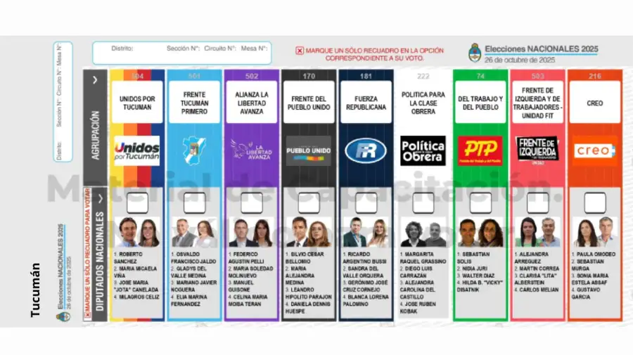 Elecciones 2025: Boleta Única de Papel para cargos de diputados
