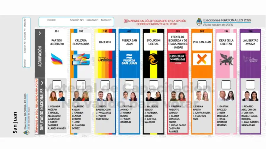 Elecciones 2025: Boleta Única de Papel para cargos de diputados