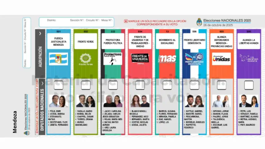 Elecciones 2025: Boleta Única de Papel para cargos de diputados