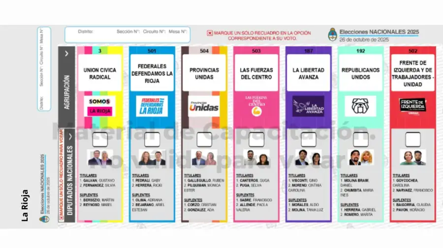 Elecciones 2025: Boleta Única de Papel para cargos de diputados
