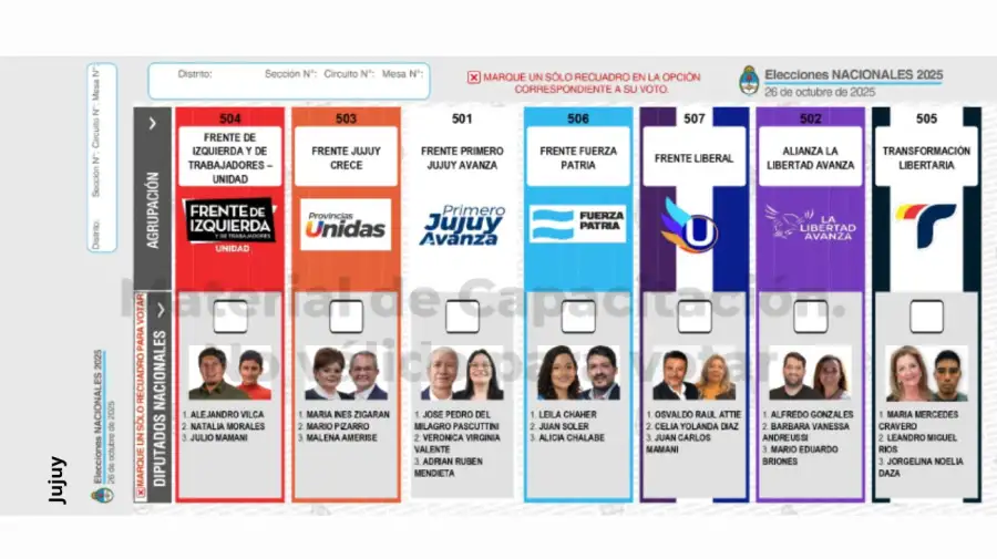 Elecciones 2025: Boleta Única de Papel para cargos de diputados