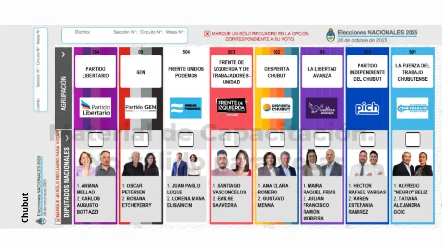 Elecciones 2025: Boleta Única de Papel para cargos de diputados