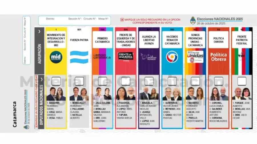 Elecciones 2025: Boleta Única de Papel para cargos de diputados