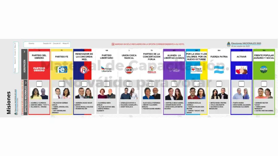 Elecciones 2025: Boleta Única de Papel para cargos de diputados