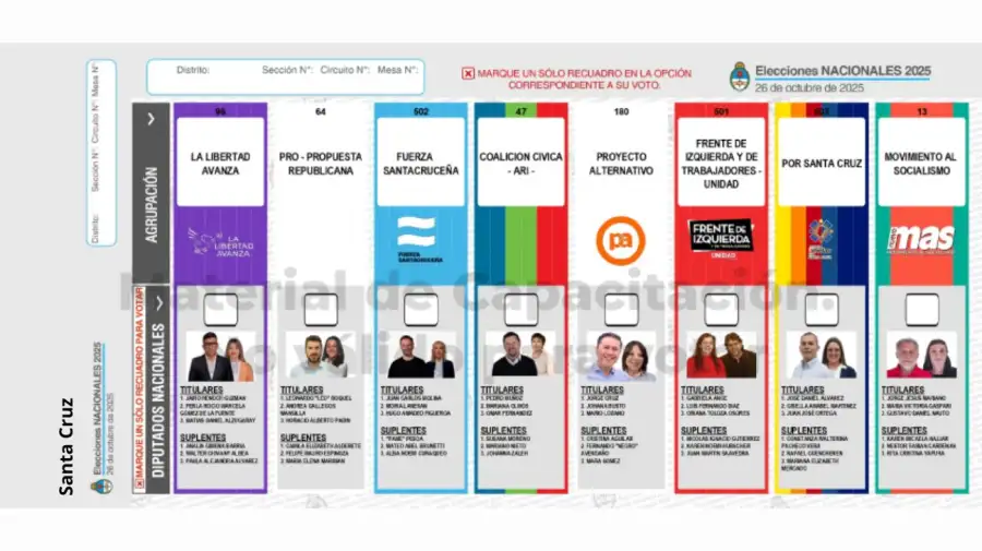 Elecciones 2025: Boleta Única de Papel para cargos de diputados
