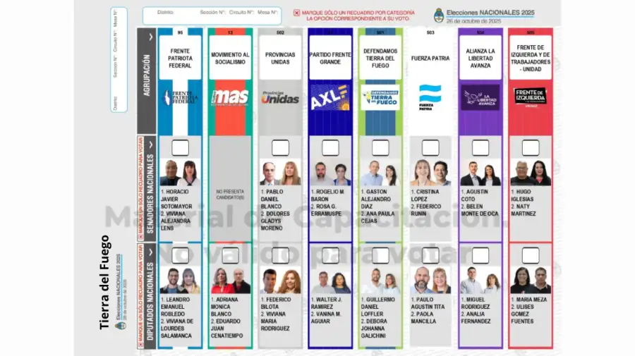 Elecciones 2025: Boleta Única de Papel para cargos de diputados y senadores