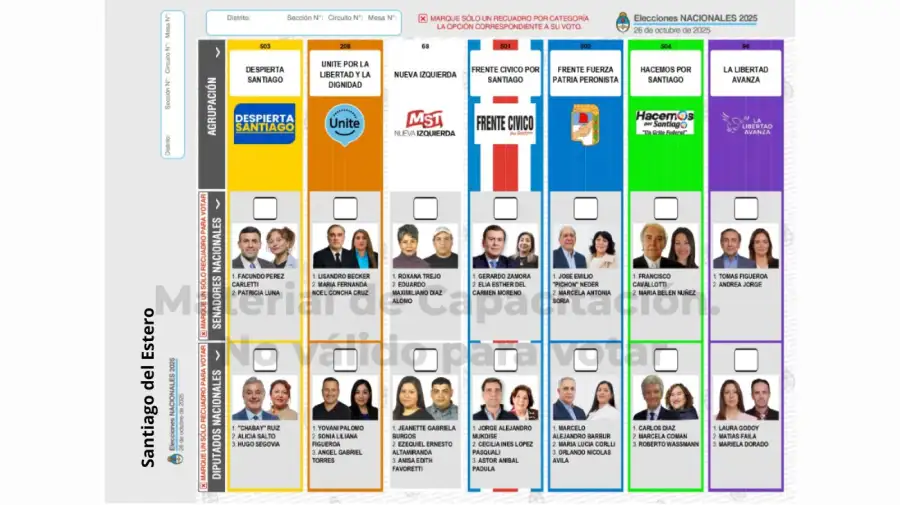 Elecciones 2025: Boleta Única de Papel para cargos de diputados y senadores
