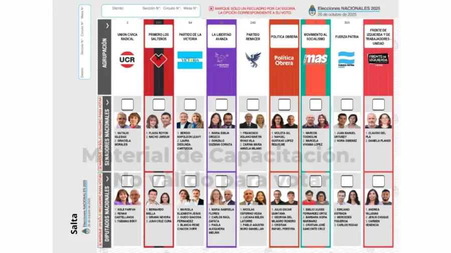 Elecciones 2025: Boleta Única de Papel para cargos de diputados y senadores