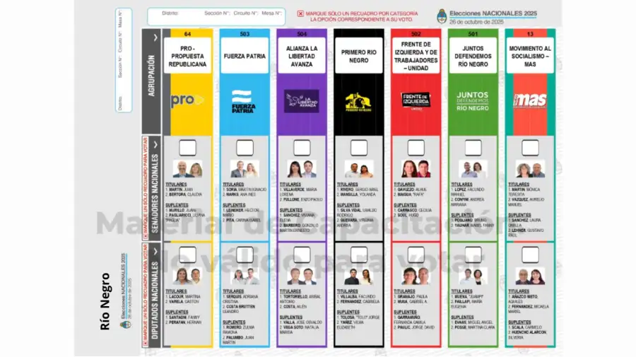 Elecciones 2025: Boleta Única de Papel para cargos de diputados y senadores