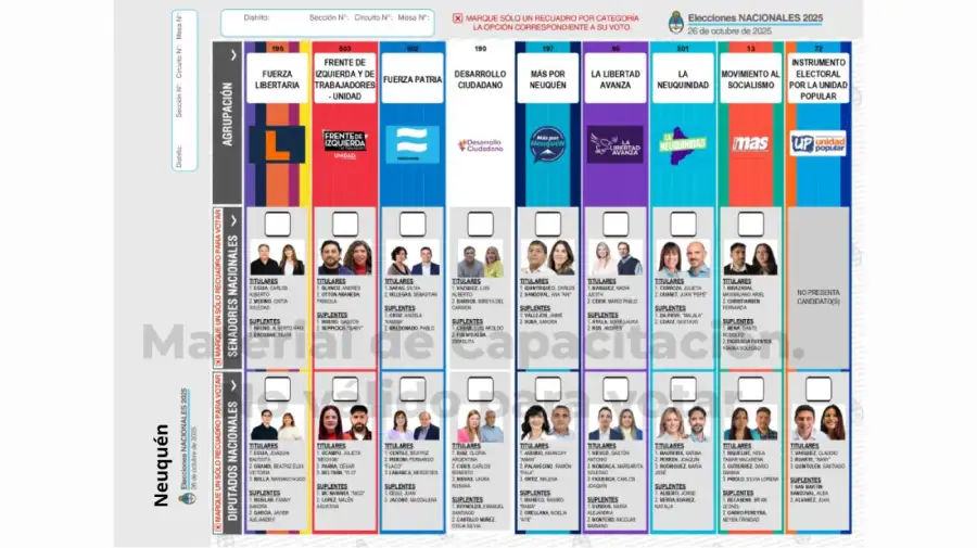 Elecciones 2025: Boleta Única de Papel para cargos de diputados y senadores