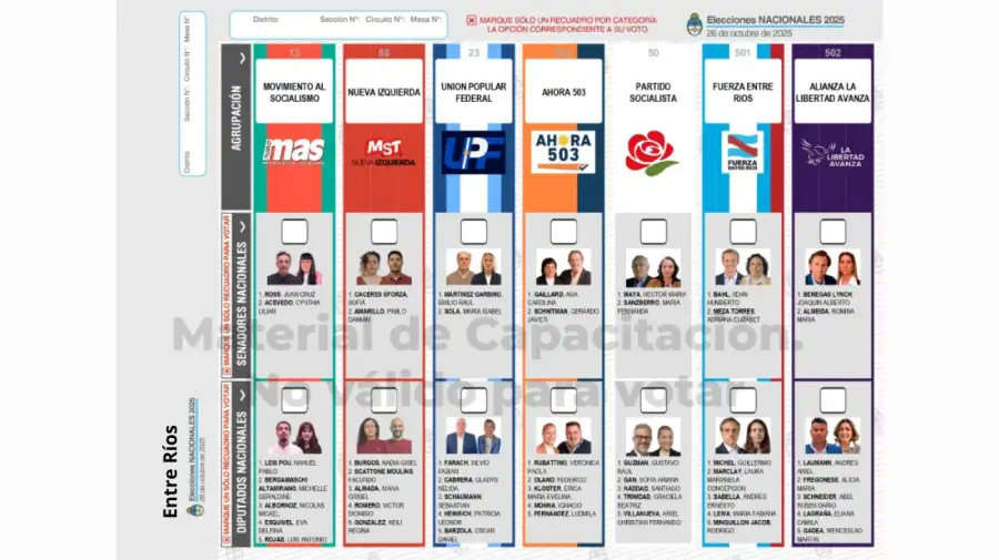 Elecciones 2025: Boleta Única de Papel para cargos de diputados y senadores