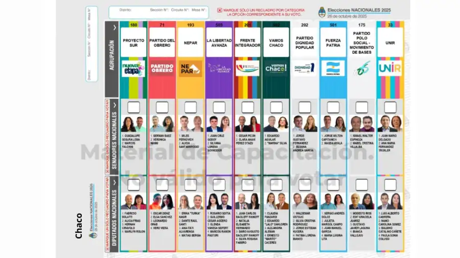 Elecciones 2025: Boleta Única de Papel para cargos de diputados y senadores