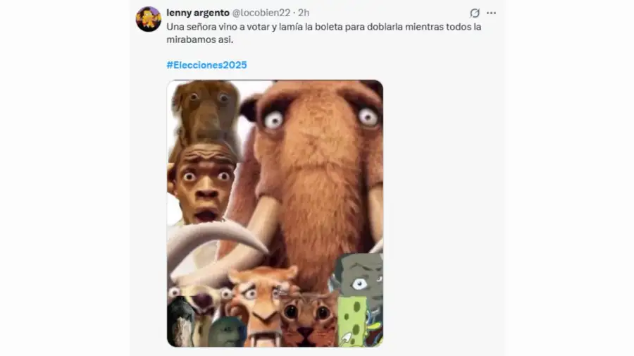 Los mejores memes de las elecciones