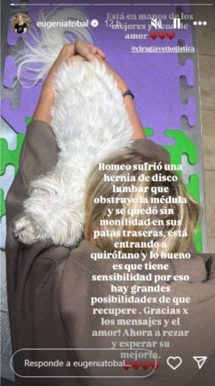 Eugenia Tobal sobre su perro