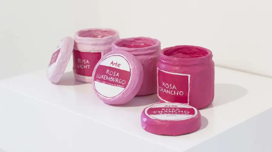 Colectivo Rosa Chancho 29102025