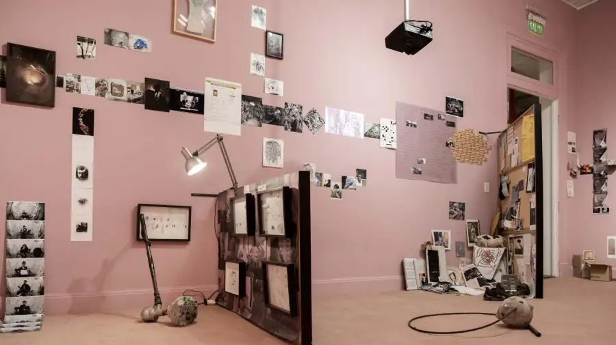 Colectivo Rosa Chancho 29102025