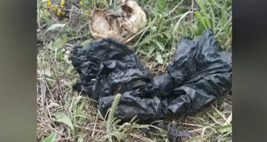 Caso Pablo Laurta 20251030