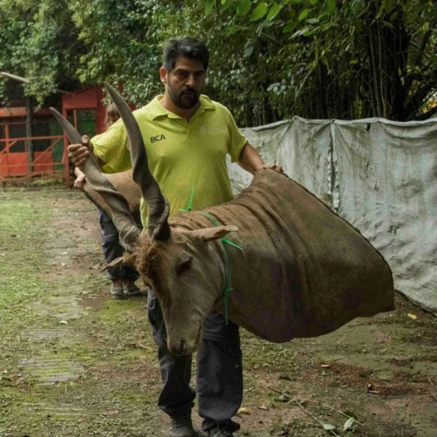El trabajo de Emiliano Villegas permitió desarticular una banda dedicada al turismo con fines de caza furtiva